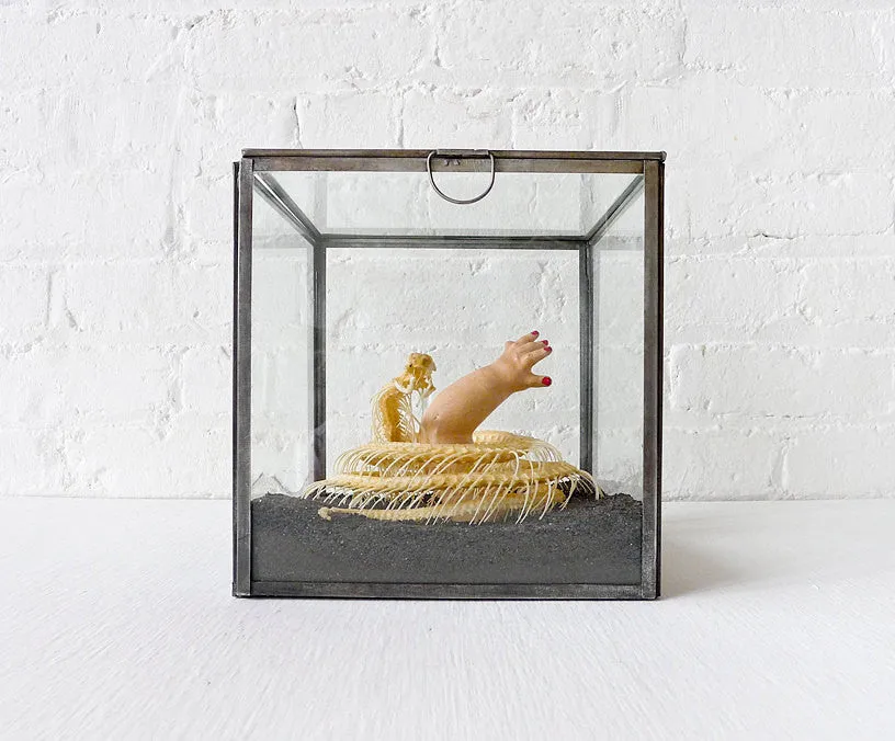 30% SALE Too Late to Save the Baby Cobra Skeleton Preserved in Glass Display Box with Baby Doll