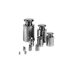 Adam Equipment ASTM 3 - 1000g Weight