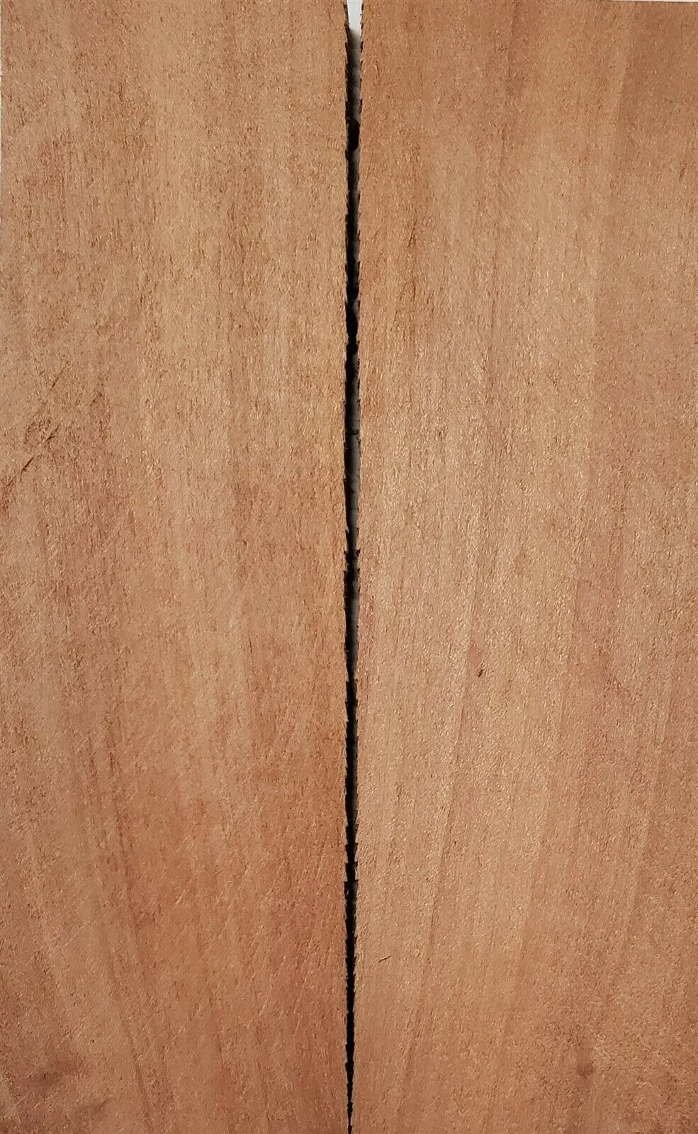 Apple (2 pc) Knife Scaless 1/4" x 1 1/2" x 5" - (9)