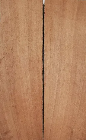 Apple (2 pc) Knife Scaless 1/4" x 1 1/2" x 5" - (9)