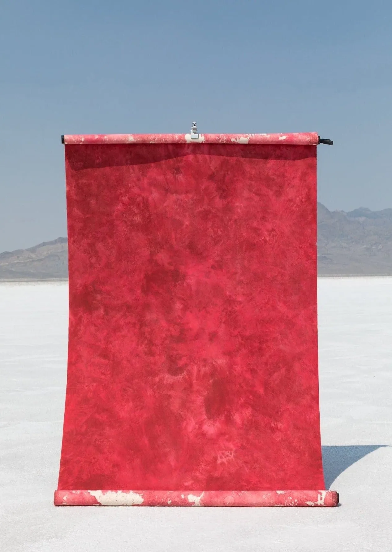 Deadstock Red #0257 Large  Hand-Painted Canvas Backdrop