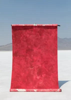 Deadstock Red #0257 Large  Hand-Painted Canvas Backdrop