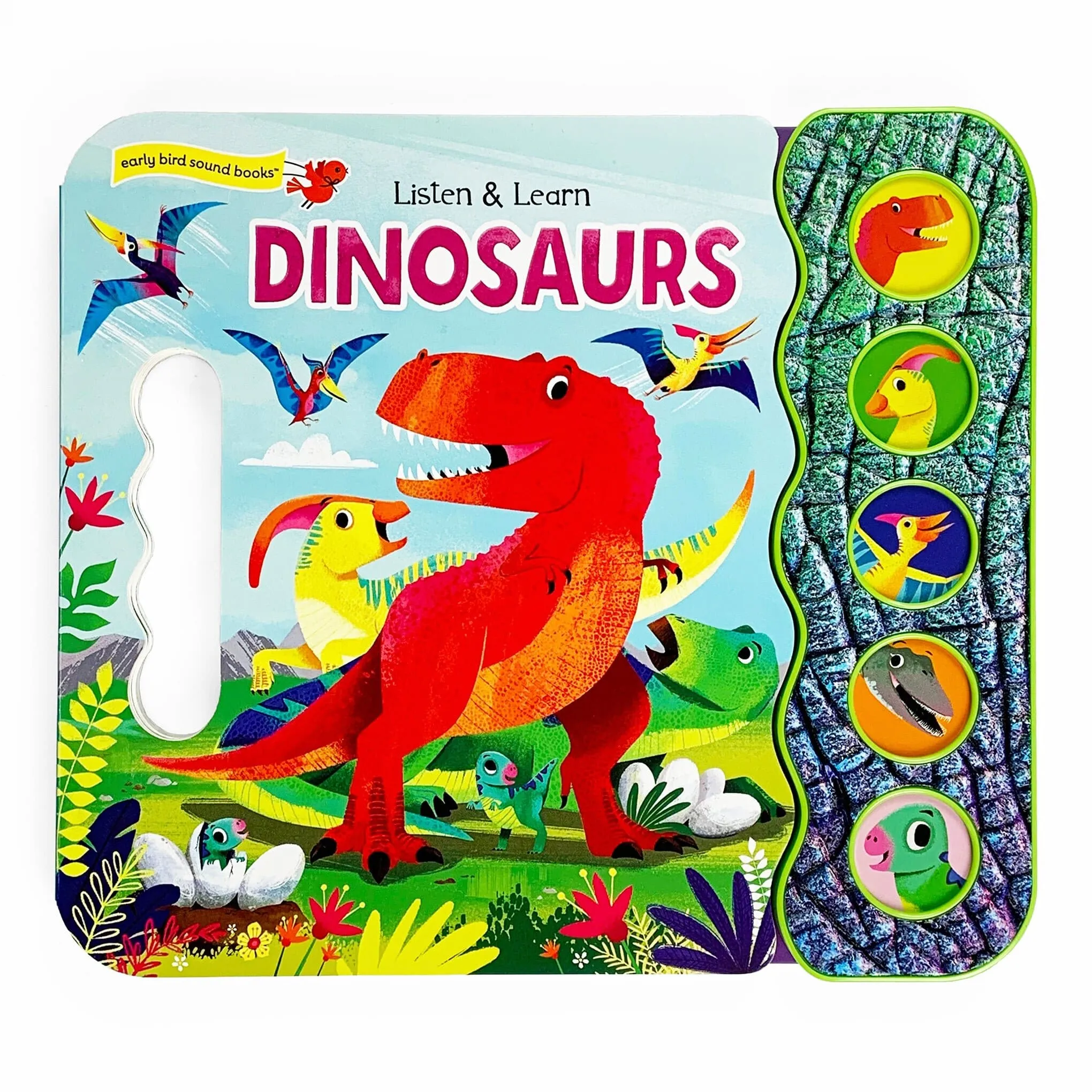 Dinosaurs Listen & Learn Board Book