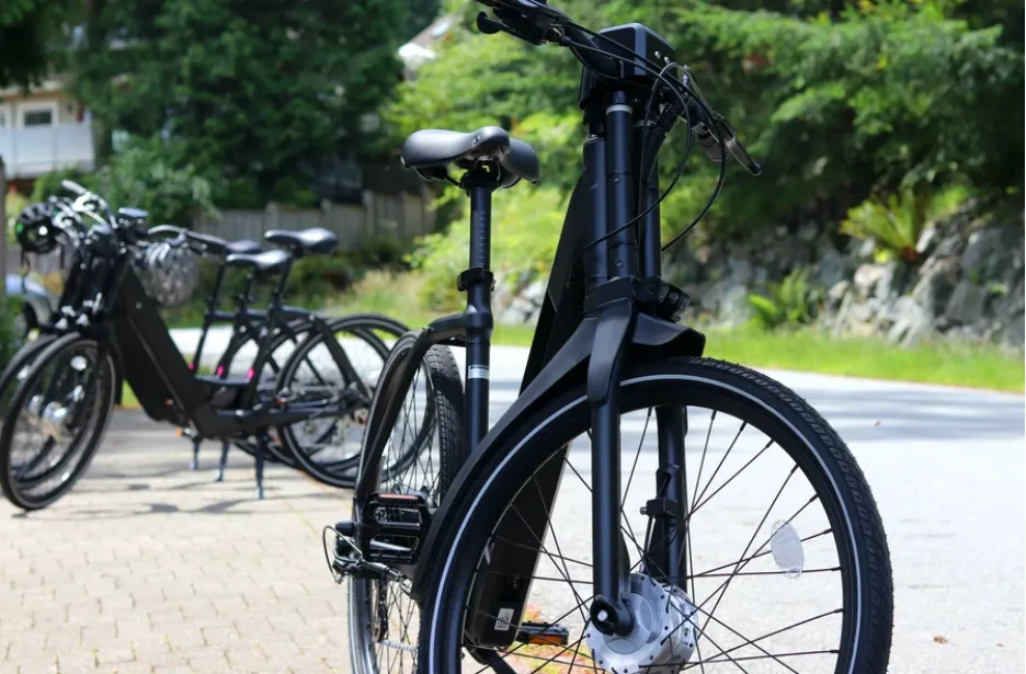 Genze E222 Step-Thru Black 350W Electric Bike