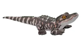 Living Mini Alligator Baby