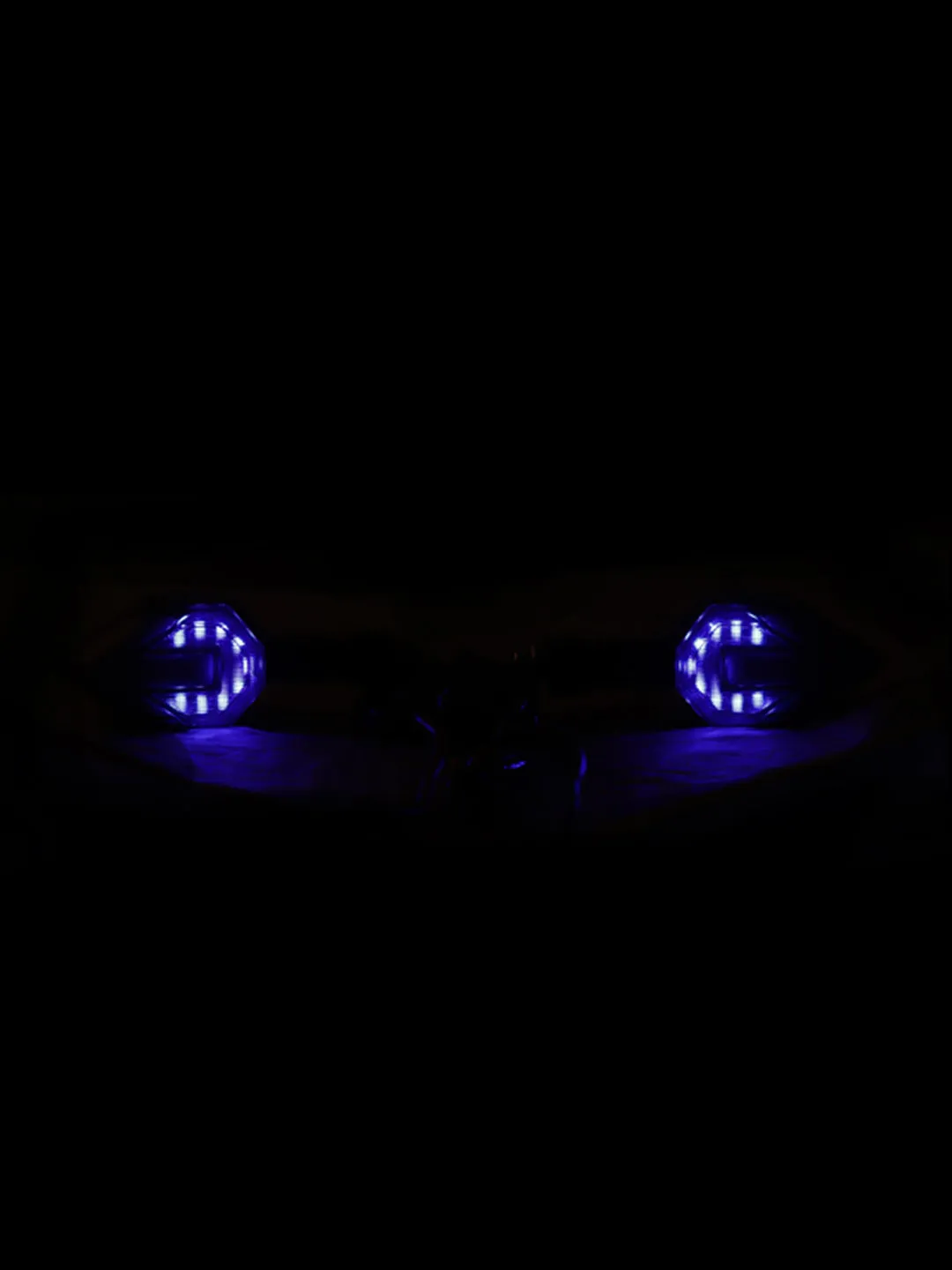 Rear Arrow  Indicator Blue