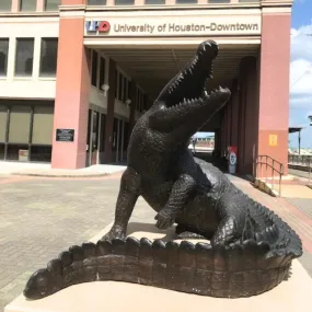 Snapping Alligator