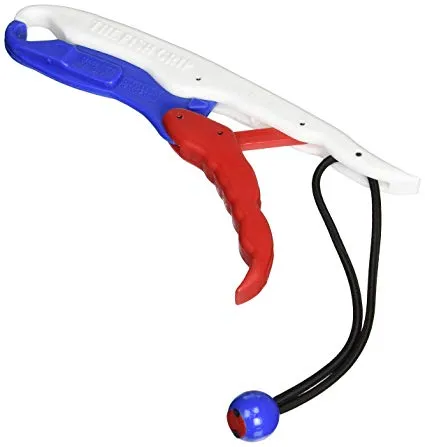 The Fish Grip